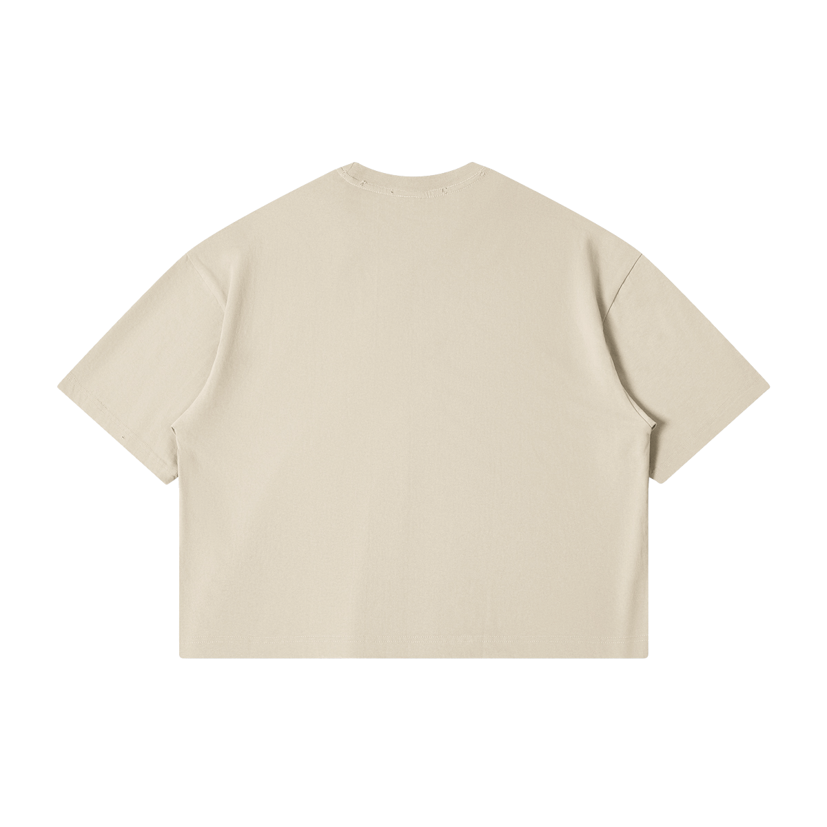 0-YNZ-Back Side